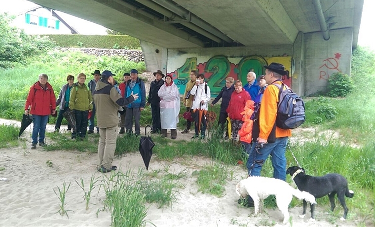 22 Mitglieder des Obst- und Gartenbauvereins Lostorf besuchten die traditionelle Auffahrtswanderung zum Thema Hochwasserschutz an der Aare. (Bild: ZVG)