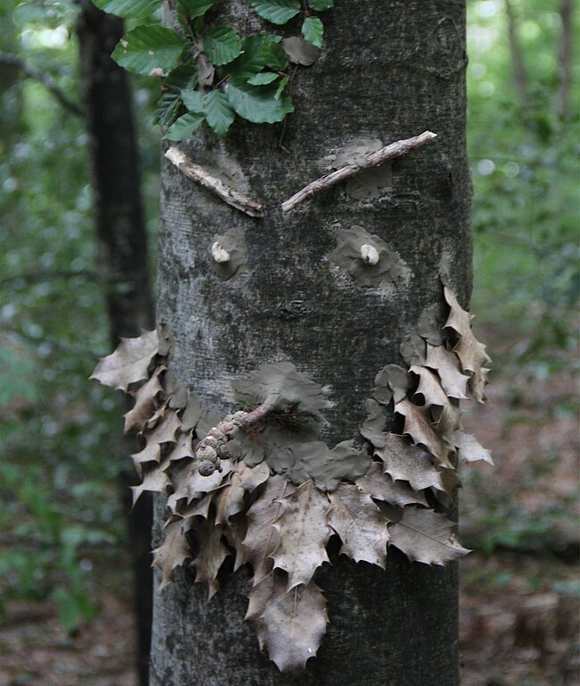 Kreative Baumstamm-Gesichter: Die Materialien aus der Natur wurden mit einem Tongemisch an den Stamm geklebt. (Bild: mim)