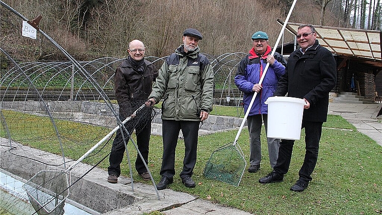 Drei Personen des Aufzuchts-Teams (v.l.) Fredi Murat (auch Vorstandsmitglied), Heinz Christ und Ernst Bächler mit Vereinspräsident Michael Haberstich. Es fehlen Romeo Gorza und Giuseppe Maiolo, ebenfalls Mitglieder des Aufzuchts-Team. (Bild: mim)