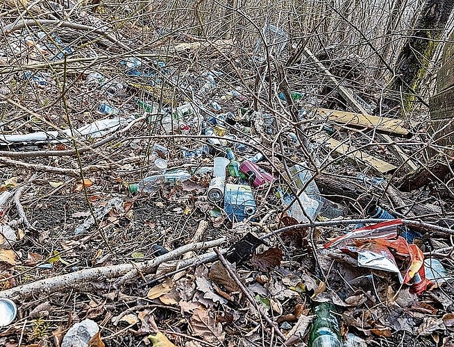 Littering der übelsten Sorte: Dieser Anblick bot sich diesen Frühling im Hardwald.
