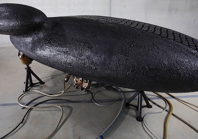 Der Künstler Carlo Borer widmet sich in seiner aktuellen Ausstellung «I am Alien» dem Thema Klimawandel. (Bild: ZVG)