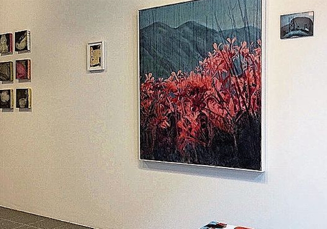 Blick in die Ausstellung von Andrea Nottaris. (Bild: ZVG)