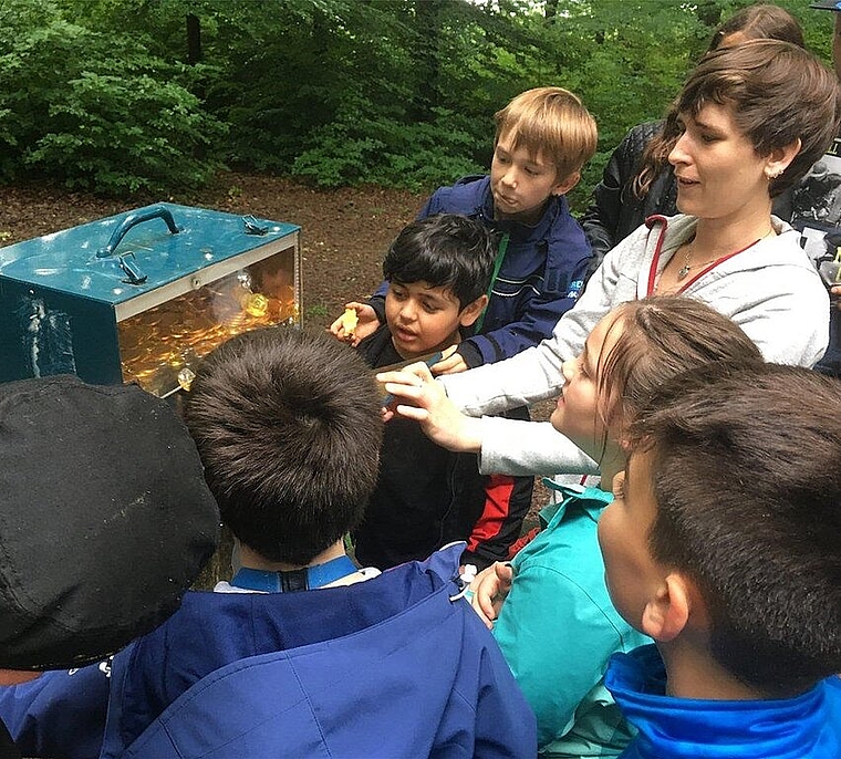 Während der Projektwoche der Primarschule Trimbach gab es für die 500 Schülerinnen und Schüler so einiges zu entdecken. (Bild: ZVG)