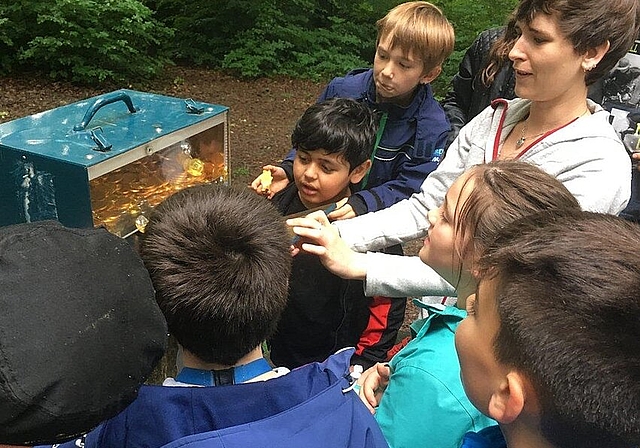 Während der Projektwoche der Primarschule Trimbach gab es für die 500 Schülerinnen und Schüler so einiges zu entdecken. (Bild: ZVG)