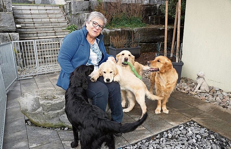 So fühlt sich Claudia Schmocker wohl: in ihrem Garten in Wisen, umgeben von einem Teil ihrer lebhaften, verspielten Retriever-Schar. (Bild: Achim Günter)