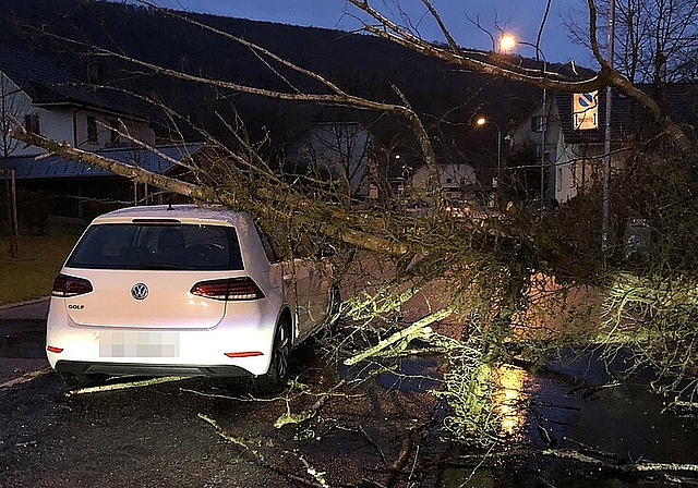 Trotz umgestürzter Bäume darf im Kanton Solothurn von einem glimpflichen Verlauf des Sturmtiefs gesprochen werden. (Bild: ZVG)