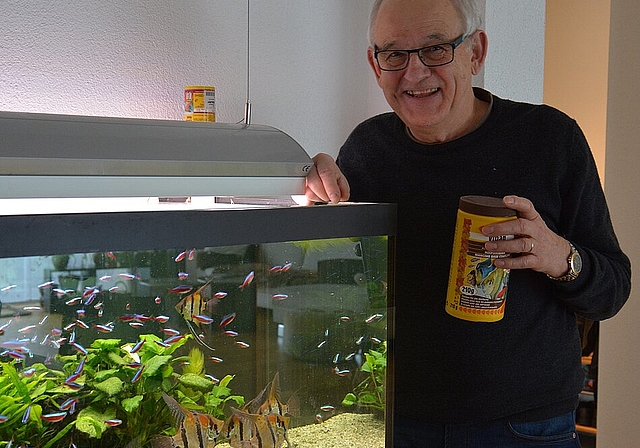 Bei monatlichen Treffen tauscht sich Präsident Werner Wiget mit den Mitgliedern seines Vereins «Aqua Terra Olten» über seine Faszination für Fische aus. (Bild: vwe)