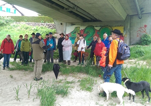 22 Mitglieder des Obst- und Gartenbauvereins Lostorf besuchten die traditionelle Auffahrtswanderung zum Thema Hochwasserschutz an der Aare. (Bild: ZVG)