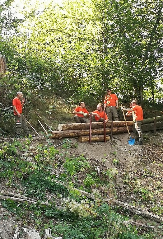 Zivilschützer beim Wiederherstellen des Wanderweges entlang der Aare in Dulliken. (Bild: ZVG)
