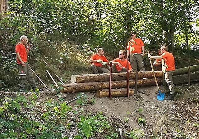 Zivilschützer beim Wiederherstellen des Wanderweges entlang der Aare in Dulliken. (Bild: ZVG)