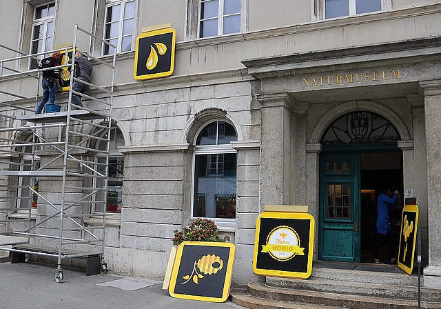 Die Bienenbilder werden durch Museumstechniker Remo Leuenberger (l.) und einem Helfer von der Hausfassade des Naturmuseums Olten entfernt. (Bild: mim) 
