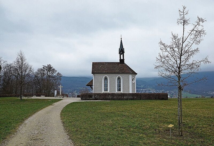 Dieses kleine Schmuckstück war namensgebend für den Stiftungsverein Pro Bornkapelle. Die Kapelle gehört zwar der Kappeler Bürgergemeinde, wird aber hauptsächlich vom Stiftungsverein unterhalten. (Bild: Achim Günter)

