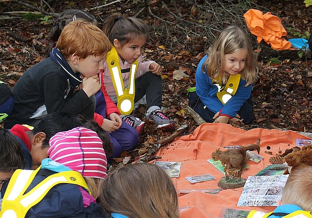 Am vergangenen Waldtag gab es für Klein und Gross viel zu lernen und zu entdecken. (Bild: ZVG)