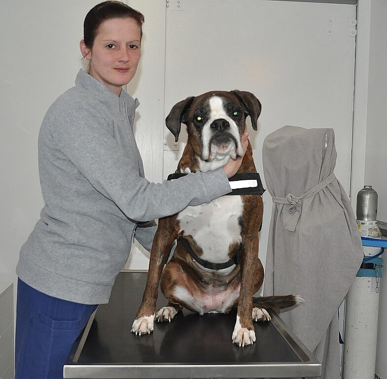Romana Herrsche mit ihrer Hündin Copa in ihrer kleinen Praxis. vwe)