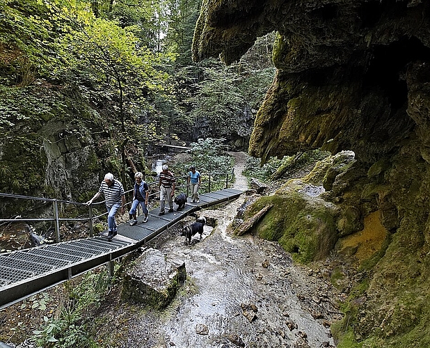 Die Region Olten liegt mitten im Wanderparadies des Jurasüdfusses. Vor allem die Route von Hägendorf via Tüfelsschlucht und Belchen nach Olten verspricht mit Wasserfällen, Strudellöchern und 30 kleinen Brücklein ein abwechslungsreiches Naturerlebnis für die ganze Familie. (Bild: André Albrecht)
