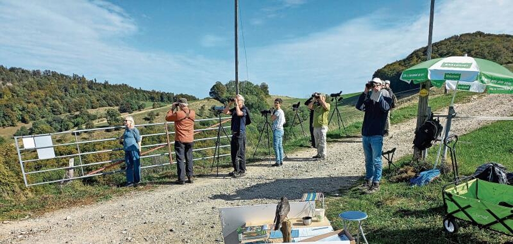 Mitglieder des Ornithologischen Vereins Olten und Passantinnen am vergangenen Samstag beim Beobachten und Zählen der Zugvögel über der Frohburg. (Bild: Katrin Luder)