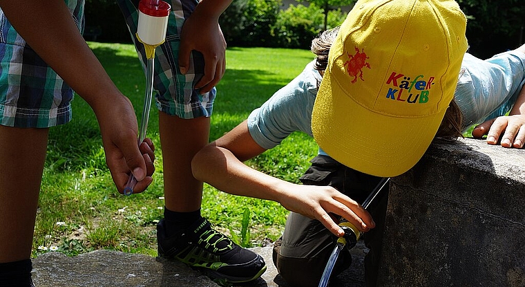 Krabbeltiere fangen mit einem selbstgebauten Insektensauger. (Bild: ZVG)