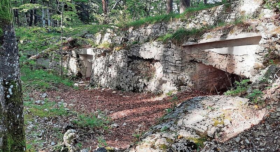 Insgesamt wurden in der Region Olten 66 Schützengräben gebaut. (Bild: Cyrill Pürro)
