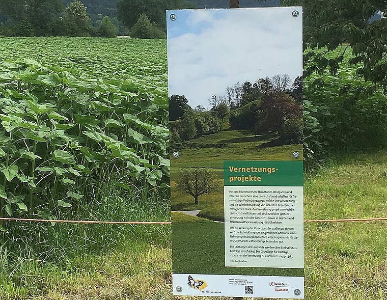 OGG-Tafeln informieren neu zum Thema Vernetzung und Biodiversität. (Bild: ZVG)