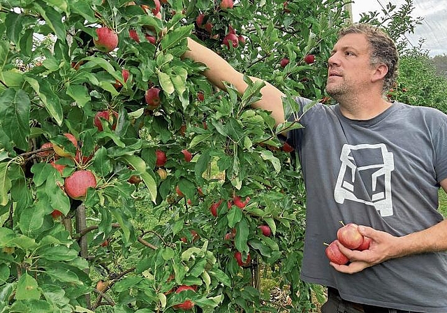 Mathias Anderegg hat mit seinen Äpfeln alle Hände voll zu tun. (Bild: Caspar Reimer)