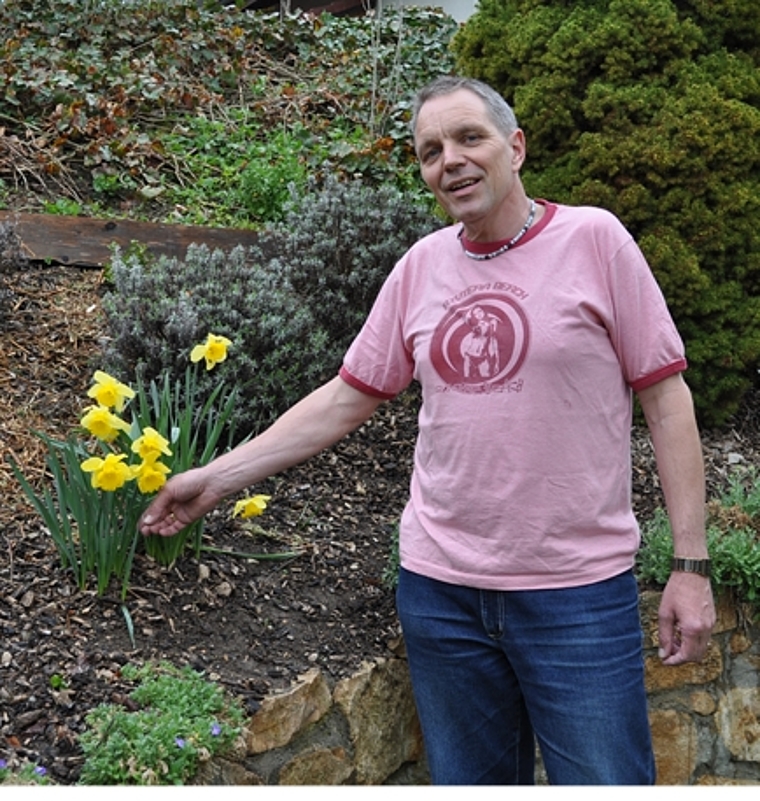 Im Garten von Stefan Schenk, Präsident Obst- und Gartenbauverein Lostorf, blühen als erste Pflanzen die Osterglocken. jpi)
