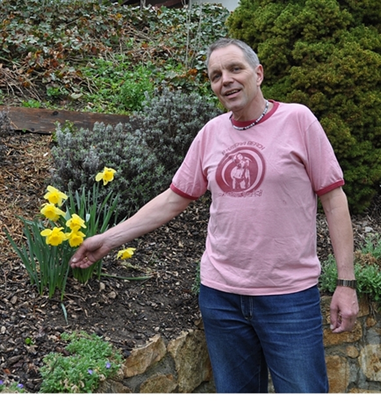 Im Garten von Stefan Schenk, Präsident Obst- und Gartenbauverein Lostorf, blühen als erste Pflanzen die Osterglocken. jpi)