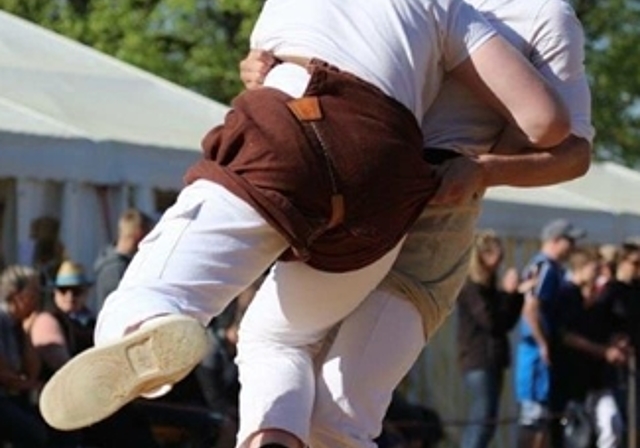 Ein Zweig herauszuschwingen ist das Ziel des Oltners Tobias Hengartner (r.) am Jungschwingertag vom kommenden Sonntag in Landquart. (Bild: ZVG)