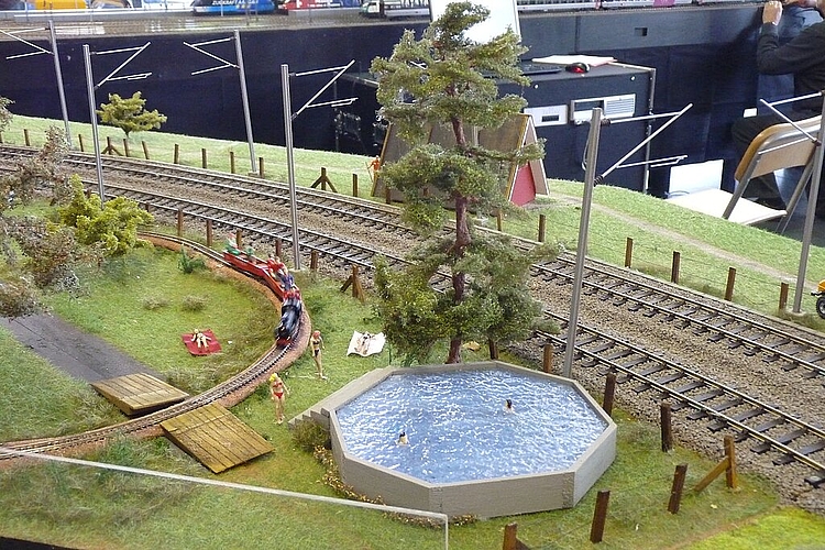 Mit viel Liebe zum Detail gestalten die vier Eisenbahn-Fans der Modellbaugruppe Wangen bei Olten ihre Modulanlage. (Bild: ZVG)
