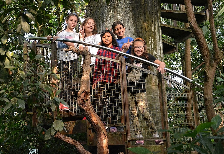 Die Jugendriege des SATUS Wangen besuchte das Papiliorama. (Bild: ZVG)