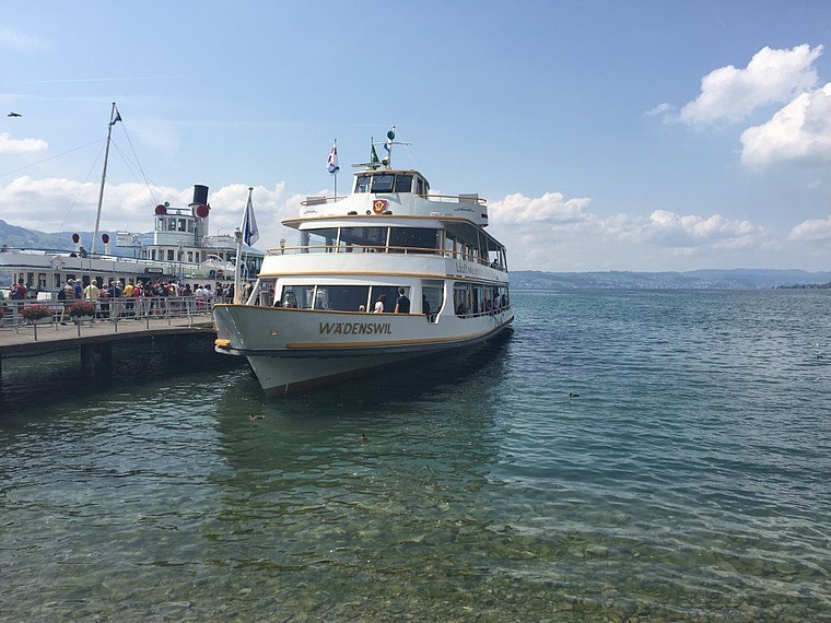 60 Mitglieder von Procap Kanton Solothurn genossen die Schifffahrt auf der MS Wädenswil. (Bild: ZVG)