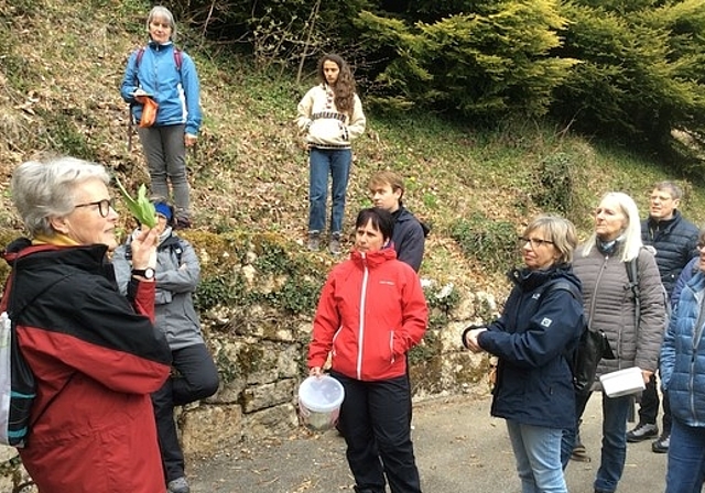Expertin Nelly Hüsler erklärt der Gruppe am Wildkräutertag die verschiedenen Pflanzenarten. (Bild: ZVG)