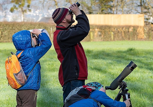 Mit Exkursionen wie dem Jugendanlass über Falken in Egerkingen will BirdLife Solothurn für das Thema Vogel- und Naturschutz sensibilisieren. (Bild: Daniel Schär)
