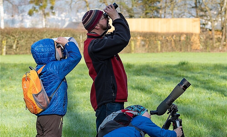 Mit Exkursionen wie dem Jugendanlass über Falken in Egerkingen will BirdLife Solothurn für das Thema Vogel- und Naturschutz sensibilisieren. (Bild: Daniel Schär)