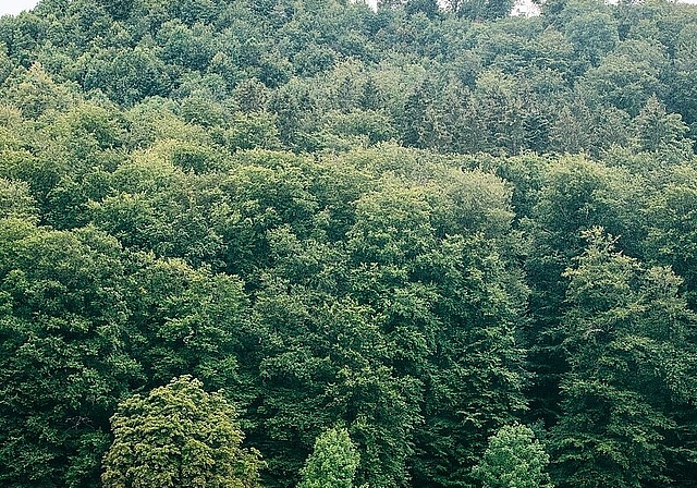 Künstlerin Andrea Nottaris und Projektleiter Renato Grob beim Aufbau rund um die Wartburghöfe. (Bild: Michael Isler)
