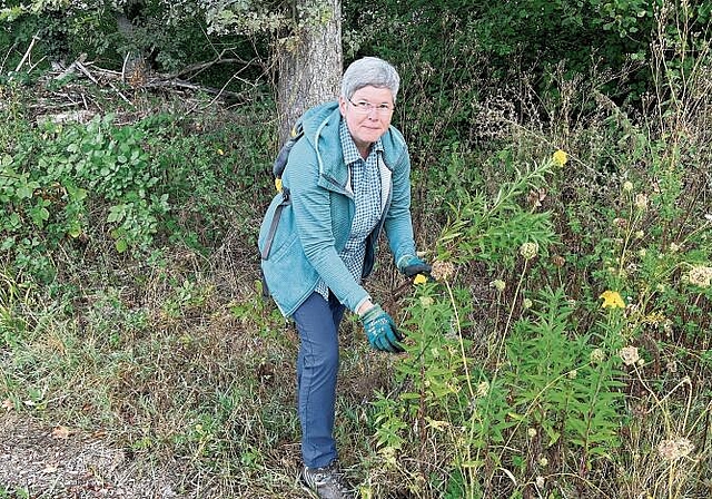 Gaby Beriger weiss, worauf man bei der Entfernung schädlicher Pflanzen achten muss. (Bild: Caspar Reimer)