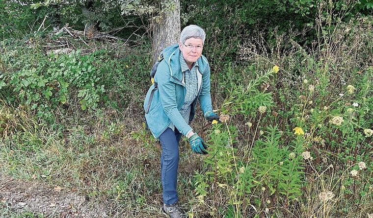 Gaby Beriger weiss, worauf man bei der Entfernung schädlicher Pflanzen achten muss. (Bild: Caspar Reimer)