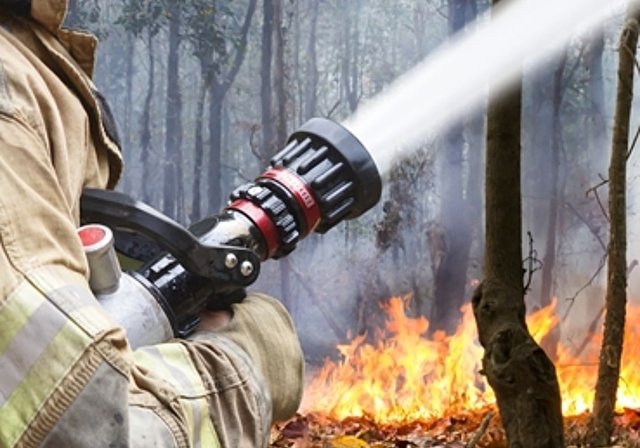 Das Feuerverbot ist aufgehoben, trotzdem müssen allgemeingültige Regeln beachtet werden, um Waldbrände zu vermeiden. (Bild: Fotolia)