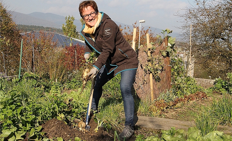 Gartenfachfrau Silvia Meister beim Ausgraben von Pastinaken im Bauerngarten am Fustligweg in Olten. mim)