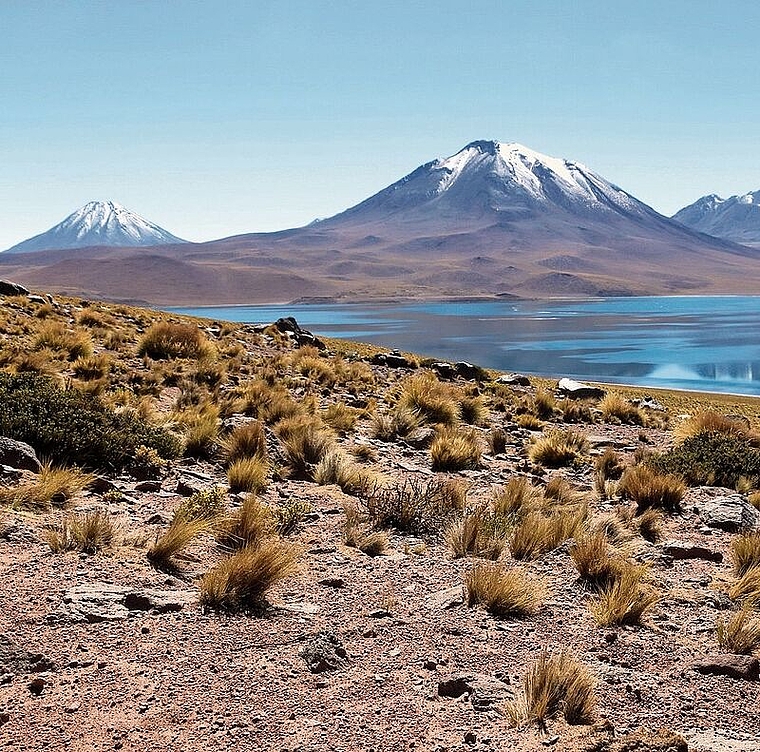 Die Laguna Miscanti im Norden Chiles. (Bild: ZVG)