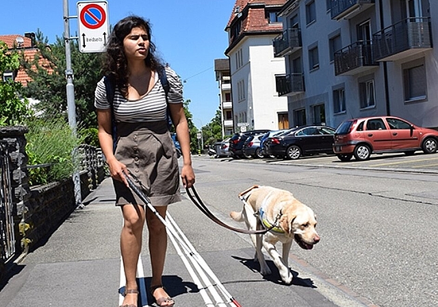 Die weissen Leitlinien stellen für blinde und sehbehinderte Menschen eine wertvolle Orientierungshilfe dar und müssen frei von Fremdgegenständen bleiben. (Bild: ZVG)
