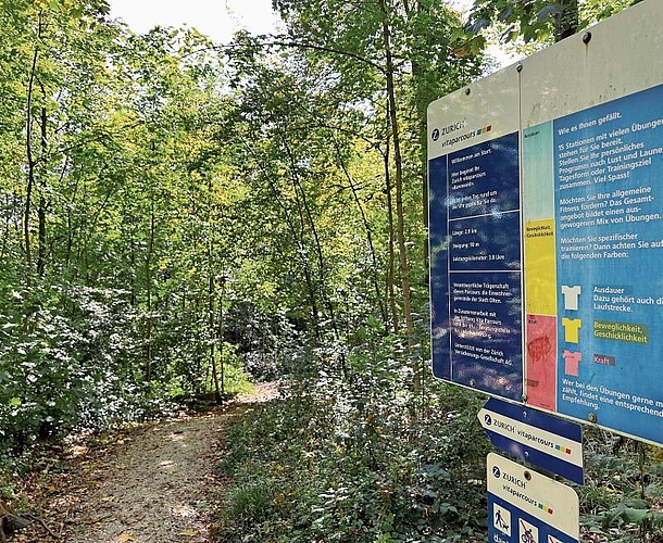 Die in der ganzen Schweiz bekannten Vitaparcours-Beschilderungen gehören auch in Olten zum Waldbild. (Bild: Caspar Reimer)