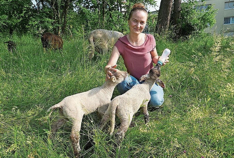 Gabriela Schenker zieht derzeit die beiden Lämmchen Judith und Maja mit der Flasche auf. (Bild: Achim Günter)