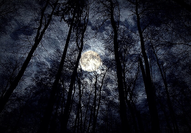 Wandern im Vollmondschein. ZVG)