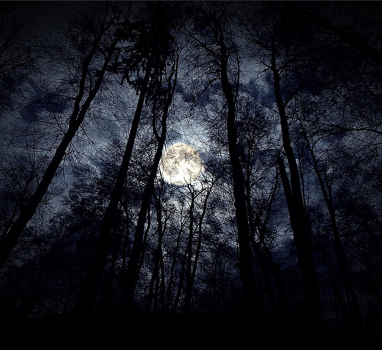 Wandern im Vollmondschein. ZVG)