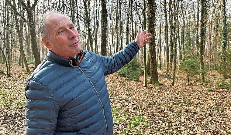 Revierförster Georg Nussbaumer betreut und beobachtet den hiesigen Wald seit 1990. (Bild: Caspar Reimer)