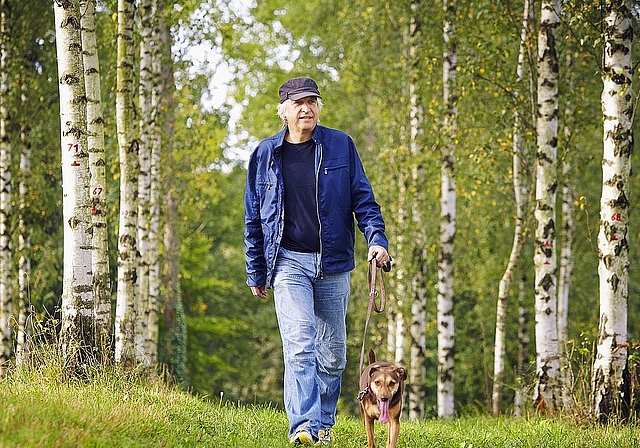 Vom 1. April bis 31. Juli gilt eine generelle Leinenpflicht. (Bild: Fotolia)