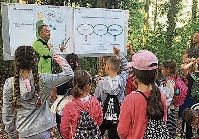 Die Zweitklässler der Schulen Schönenwerd entdeckten den Wald. (Bild: ZVG)