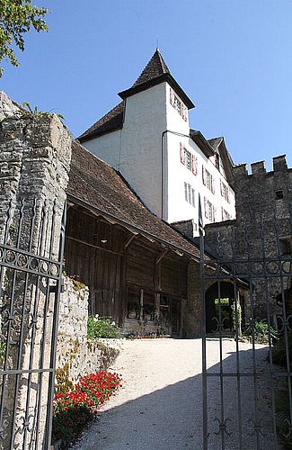 Wahrzeichen von Lostorf und Wohnort der Familie Bernhard: das Schloss Wartenfels. (Bild: mim)