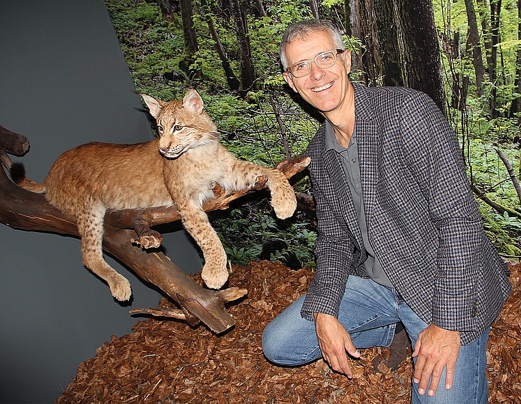 «Besucher haben noch bis Sonntag, 13. November die Möglichkeiten den Luchs, Wolf oder Bär im Naturmuseum Olten zu entdecken», so Museumsleiter Dr. Peter Flückiger. (Bild: mim)