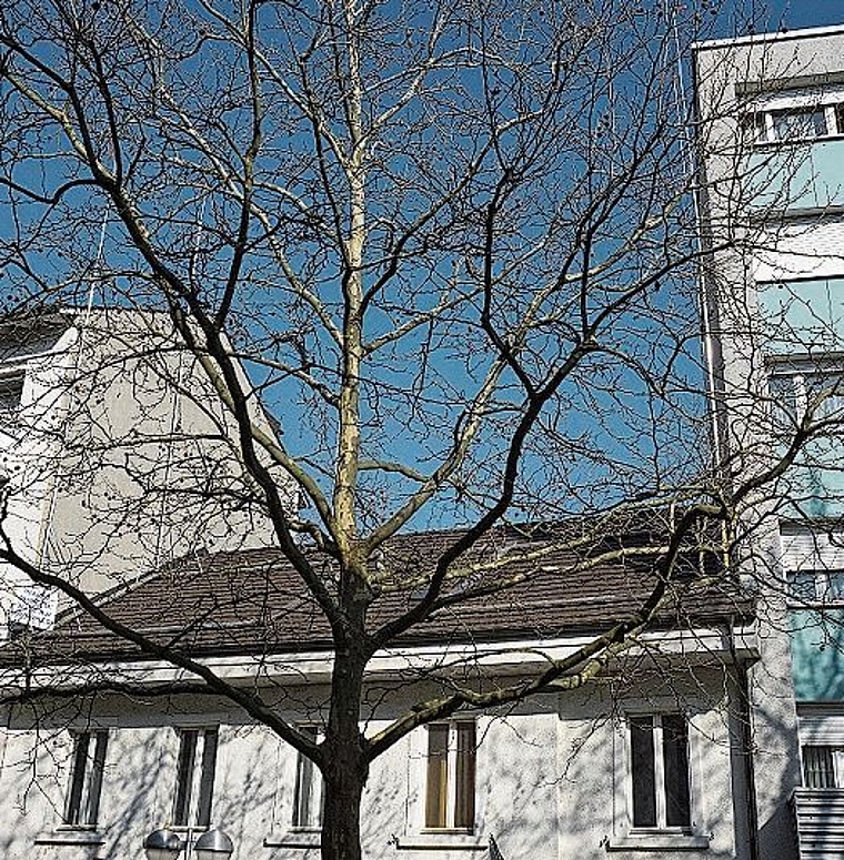 Diese «Lücke soll» verschwinden. (Bild: AGU)